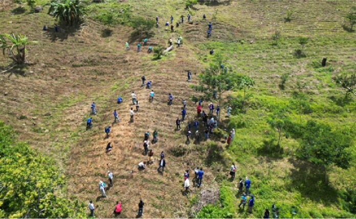 Alsons Power adds 500 more trees to the 2 million planted by the Group in Sarangani Province,